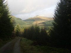 View from Glen Branter Forestry Path