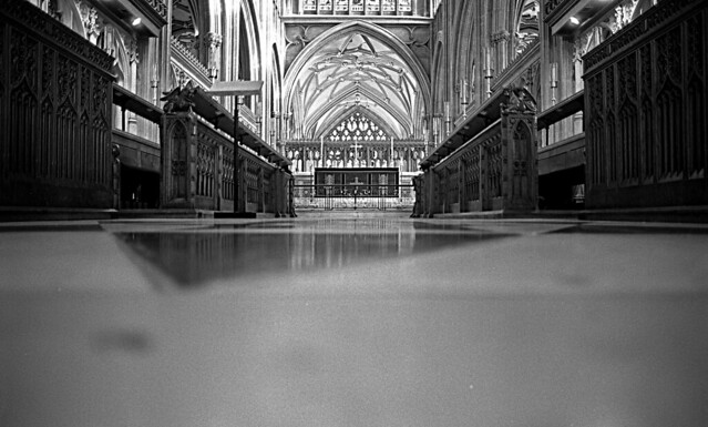 Olympus OM-1, Fuji Acros 100, rated at 80. Stand Developed in Rodinal 1+100 for 50 minutes.