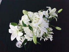 WhiteFlowers_By_SheilaCunningham