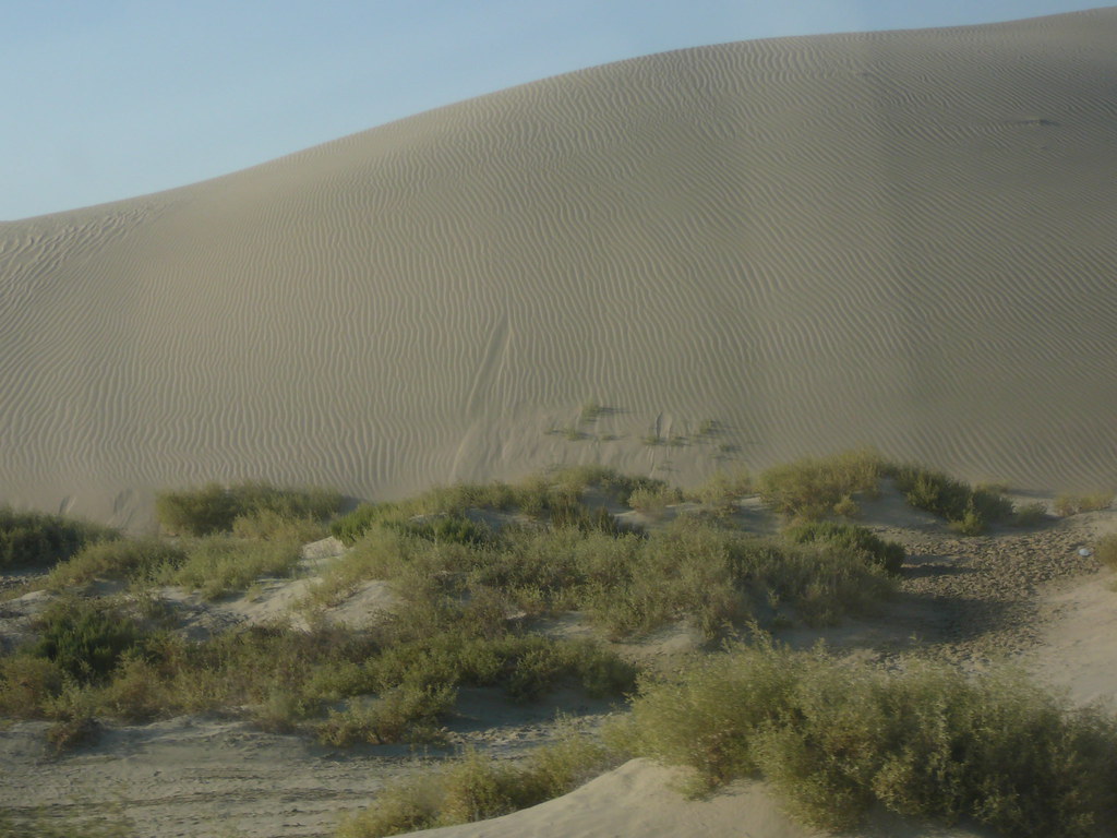 Desert Qatari