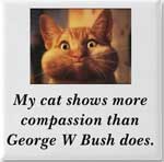 My cat shows more compassion that George W Bush does.