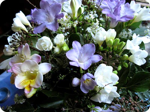 Bouquet of Freesia