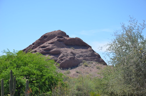 Arizona 2011 413