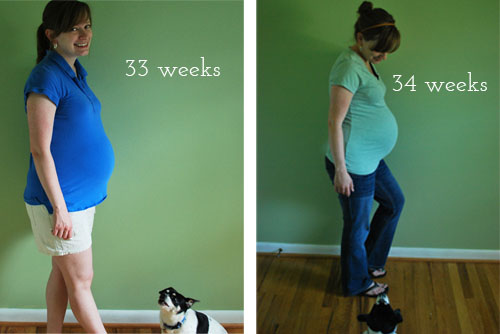 33 and 34 weeks