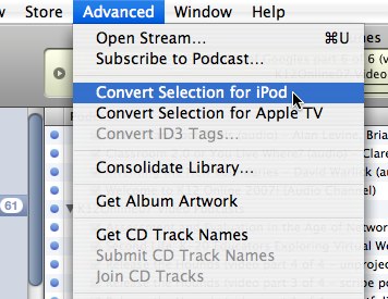Convert Selection for iPod