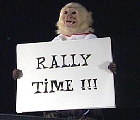 Rally_Monkey