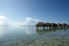 Tahiti - manihi morning calm 凪