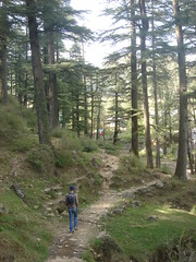 hike to dharmakot