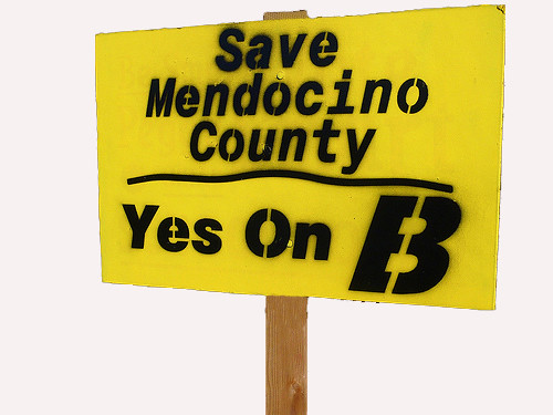 Georgann Georg Coleman. Save Mendocino County - Vote