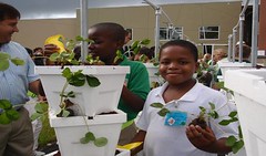Green School of Quality: Pine Jog Elementary School by Community Foundation for Palm Beach & Martin Cou