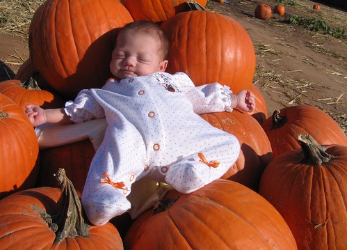 Zoe Relaxin on the Pumpkins