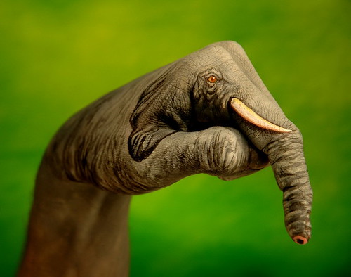 Hand Painted Elephant
