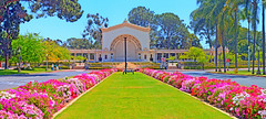 Spreckels Organ Pavilion & Beautiful Geraniums