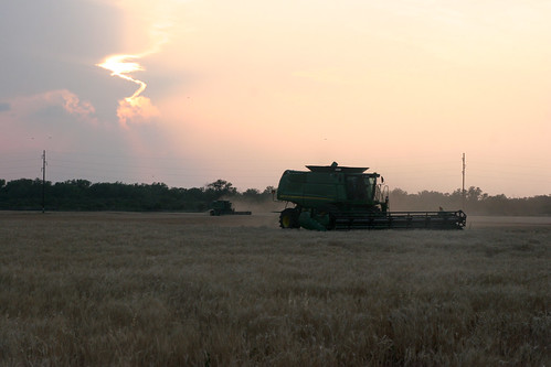Combining at dusk
