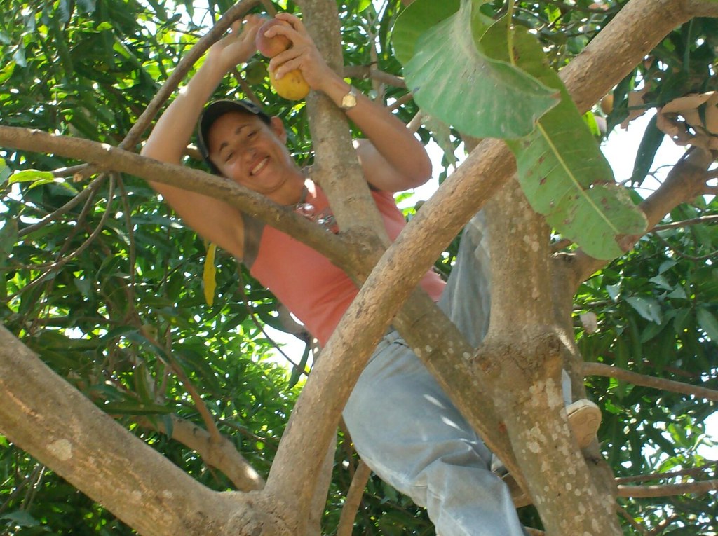 Luz Maria up a tree