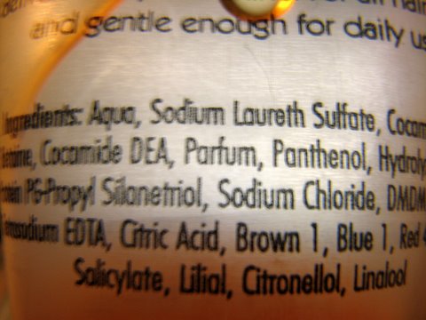 fearsome shampoo ingredients 051207