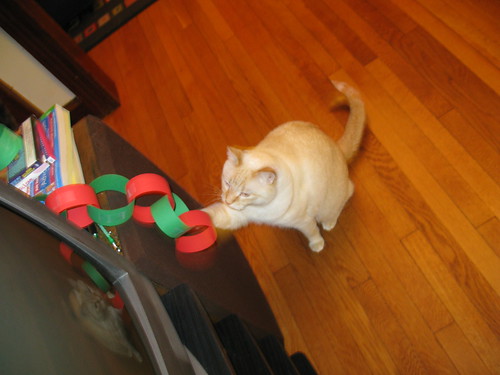 Buck takes down the decorations