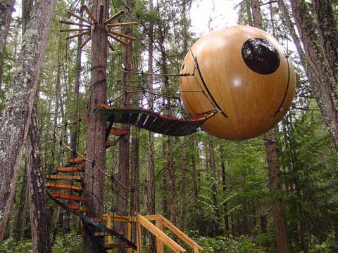 Home Design on Zegarkus   The Somewhat Interesting Blog  Incredible Tree Houses Of
