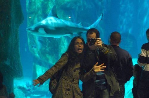 London Aquarium 15.jpg