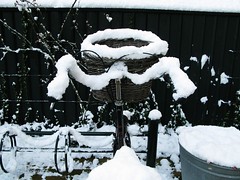 Snowfall Bicycle