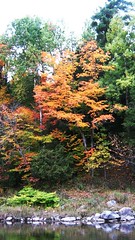couleurs d'automne