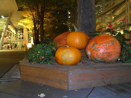 Pumpkins in Yurakucho!