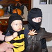 the ninja and the bee