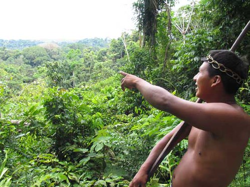 Ecotourism In The Amazon. Huaorani Ecolodge, Amazon