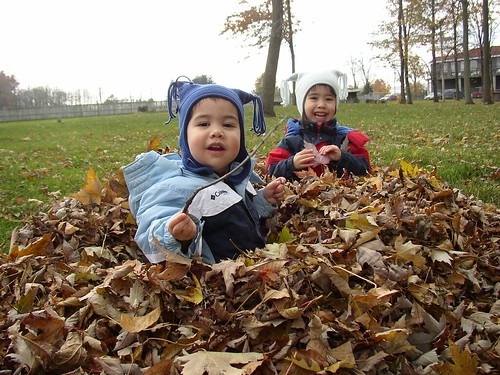 leaf pile 2007