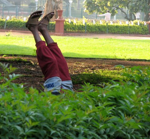yoga in lalbagh