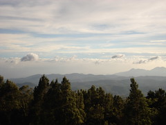 Doddabetta Peak, Ooty