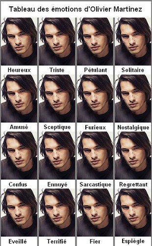 Steven Seagal Emotion Chart Poster