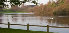 The lake at Studley Royal