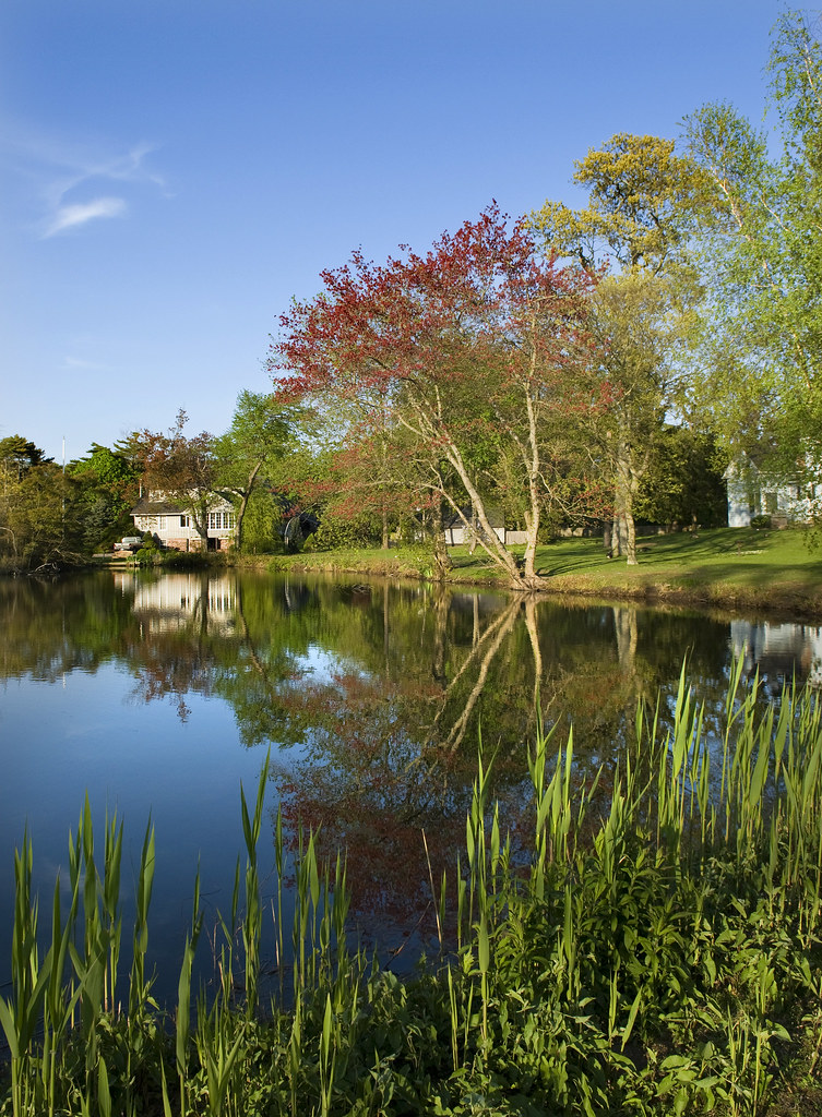 Behman's Pond