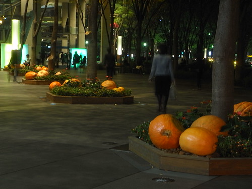 pumpkin patch at night?