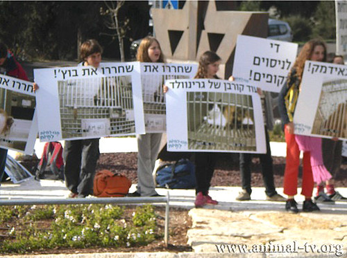 Uncaged Campaigns님이 촬영한 IARD 07 - Israel - Outside Knesset where animal rights were debated 5.