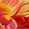 Rosehips CD
