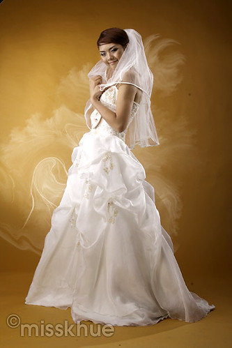 New Wedding Dress 2010