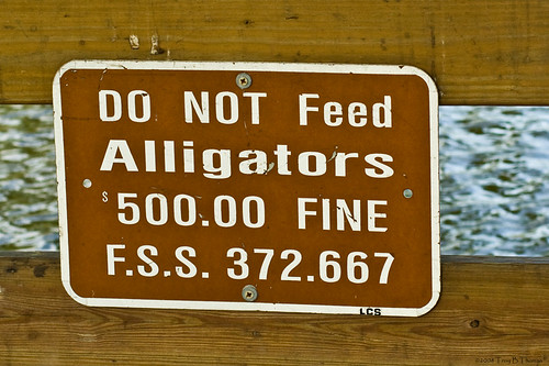 9_AlligatorSign