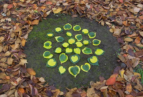 Leaf circle by JRT Pickle