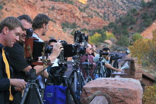 More Photographers then Wildlife at Zion's National Park