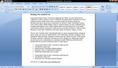 A screenshot of a Windows Office 2007 docx file