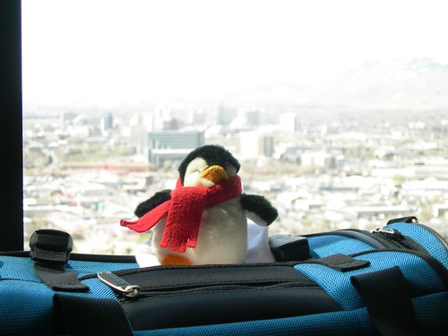2008-04-02 Penguin in Reno (1)