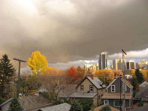 Fall in Calgary