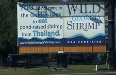 Wild Georgia Shrimp billboard (buy local)