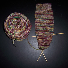 Plucky Knitter - Palatial Sock