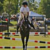 Show Jumping - Look Left