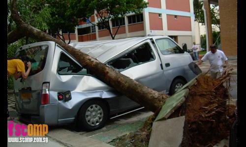 Lightning, then tree crashes into dad's van: He loses sole source of income 