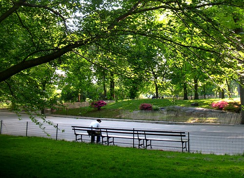 Central Park  - May 13th