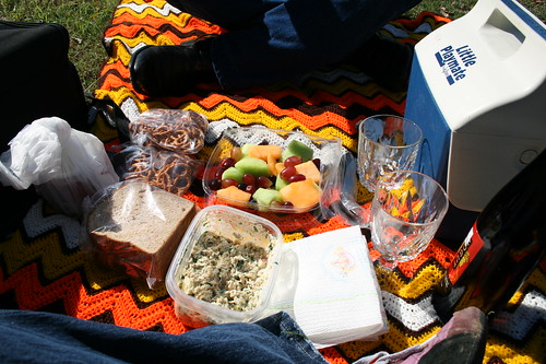 picnic — nov 4